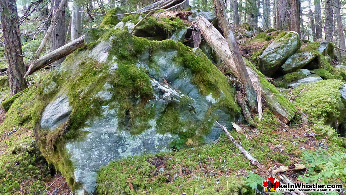Emerald Forest Boulders