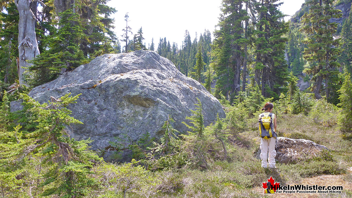 Brandywine Meadows Erratic