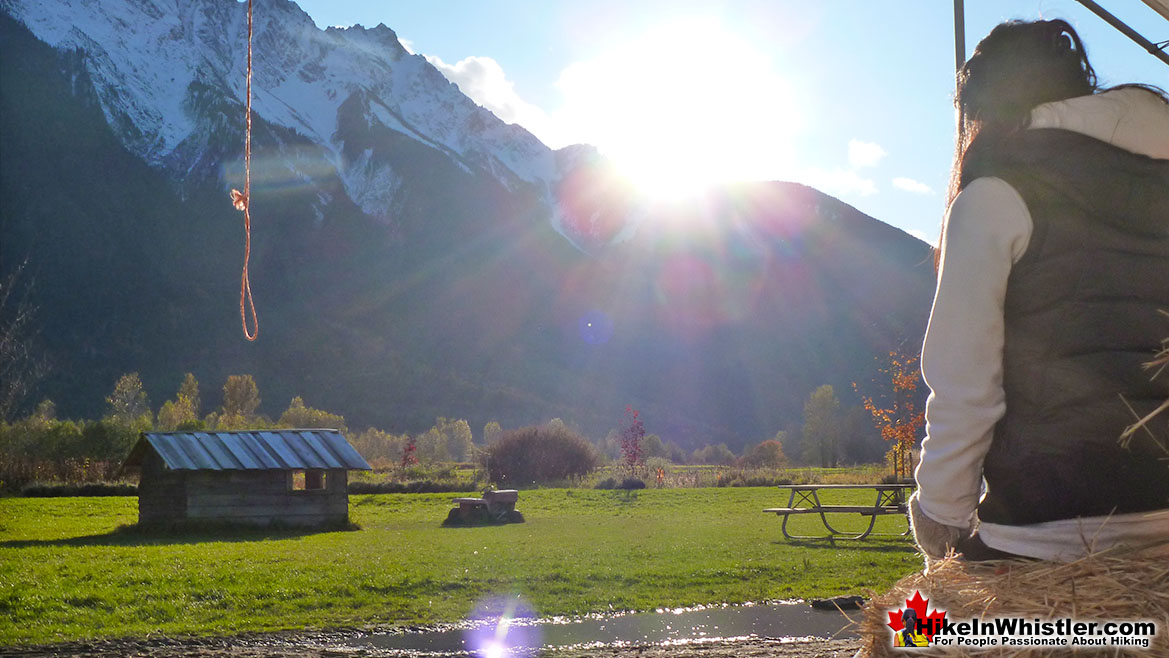 North Arm Farm Sunrise