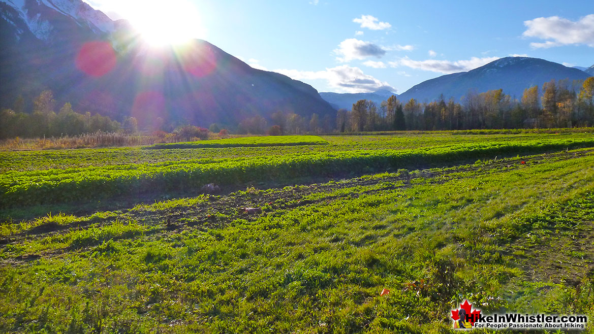 North Arm Farm Sunrise