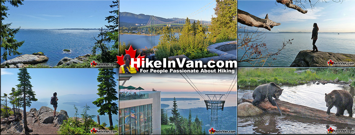 Best Vancouver Hiking Trails