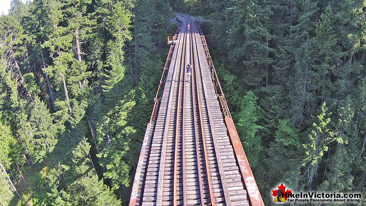 Train Trestle at Goldstream Park