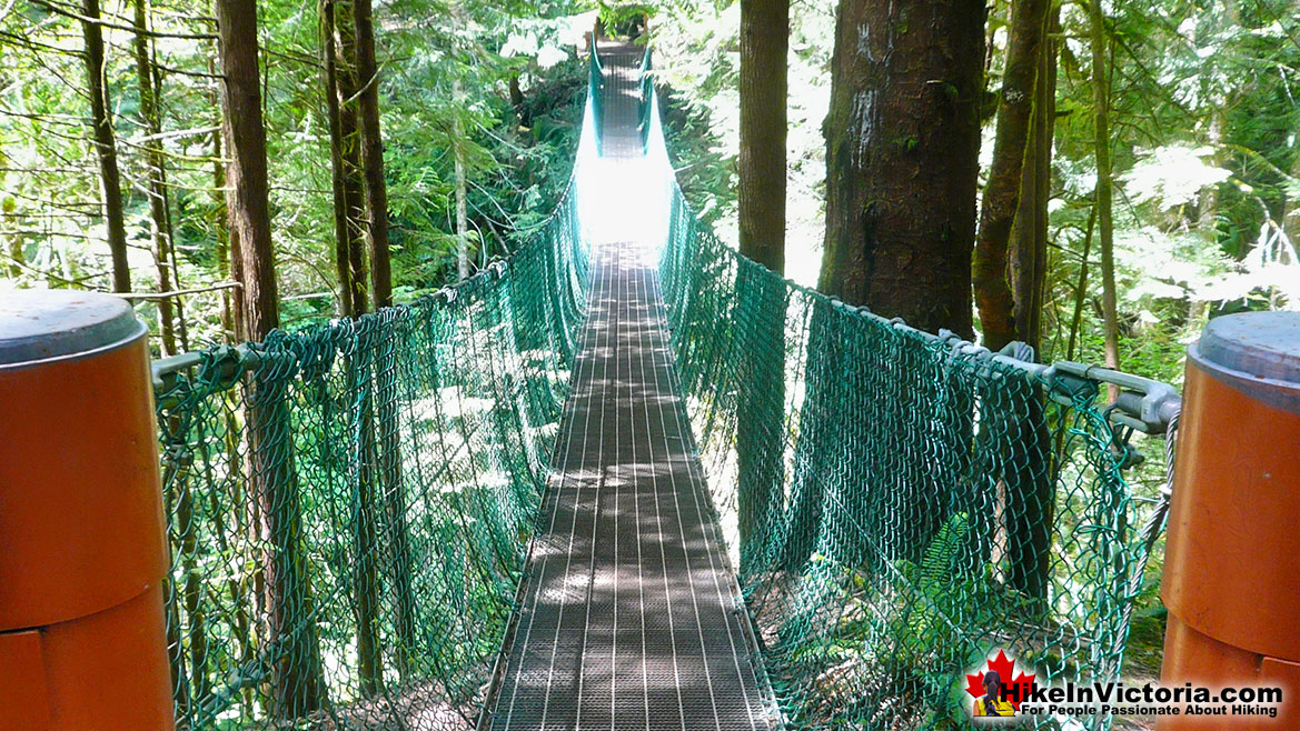 Juan de Fuca Trail