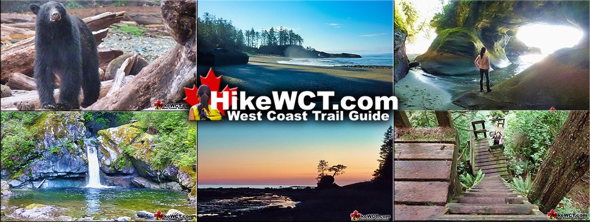 Amazing West Coast Trail Guide
