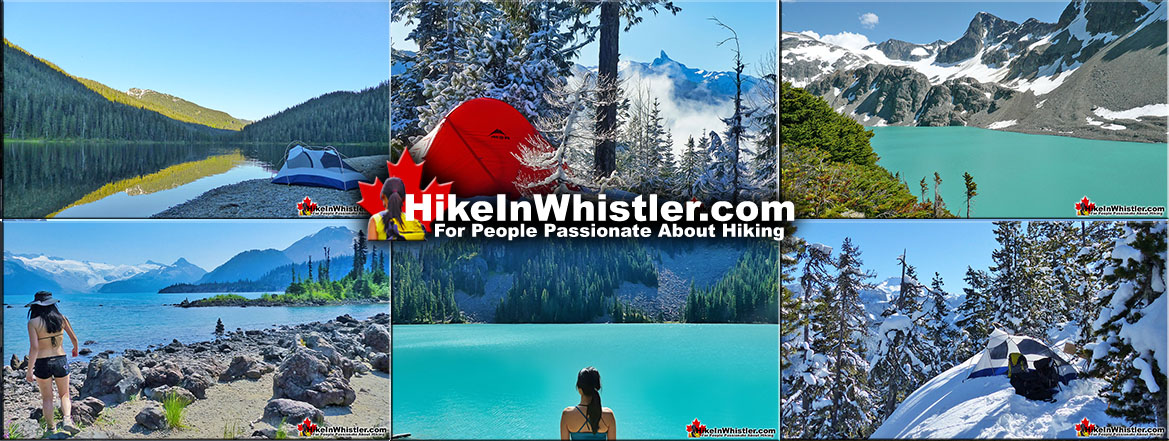 Amazing Hiking Trails in Whistler