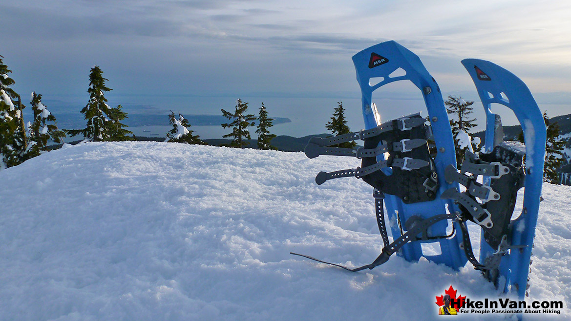 Hollyburn Mountain Hike in Vancouver