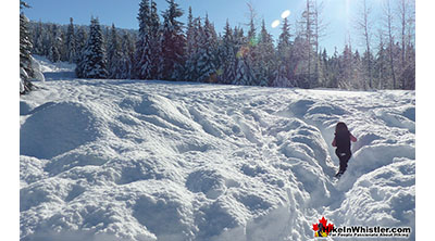 Alexander Falls in March