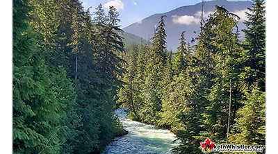 Dog Friendly Whistler Cheakamus River