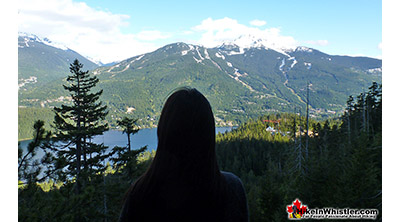 Dog Friendly Whistler Flank Trail