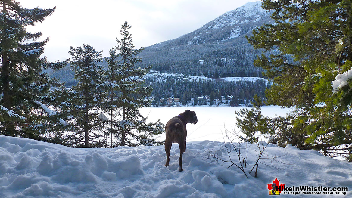 Blueberry Park in Winter