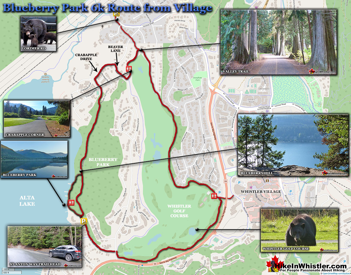 Blueberry Park Whistler Map