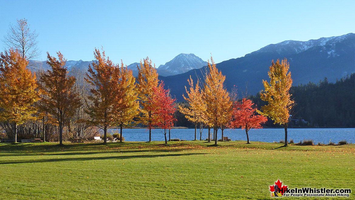 Rainbow Park Fall Colours