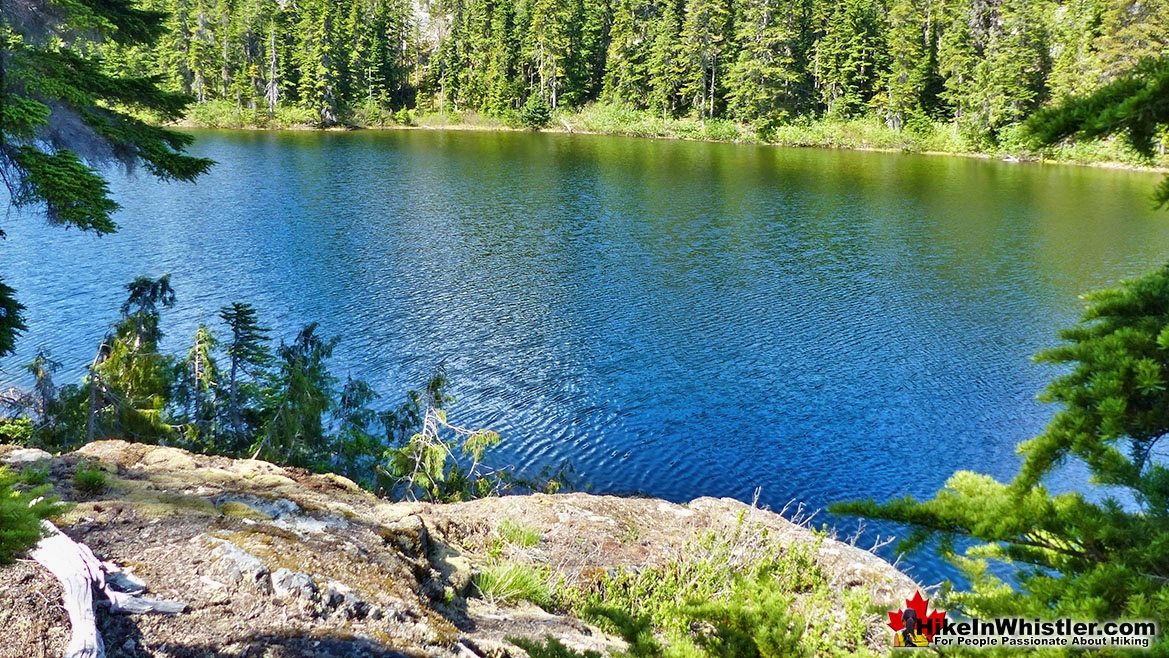 Newt Lake Sunny Cliff