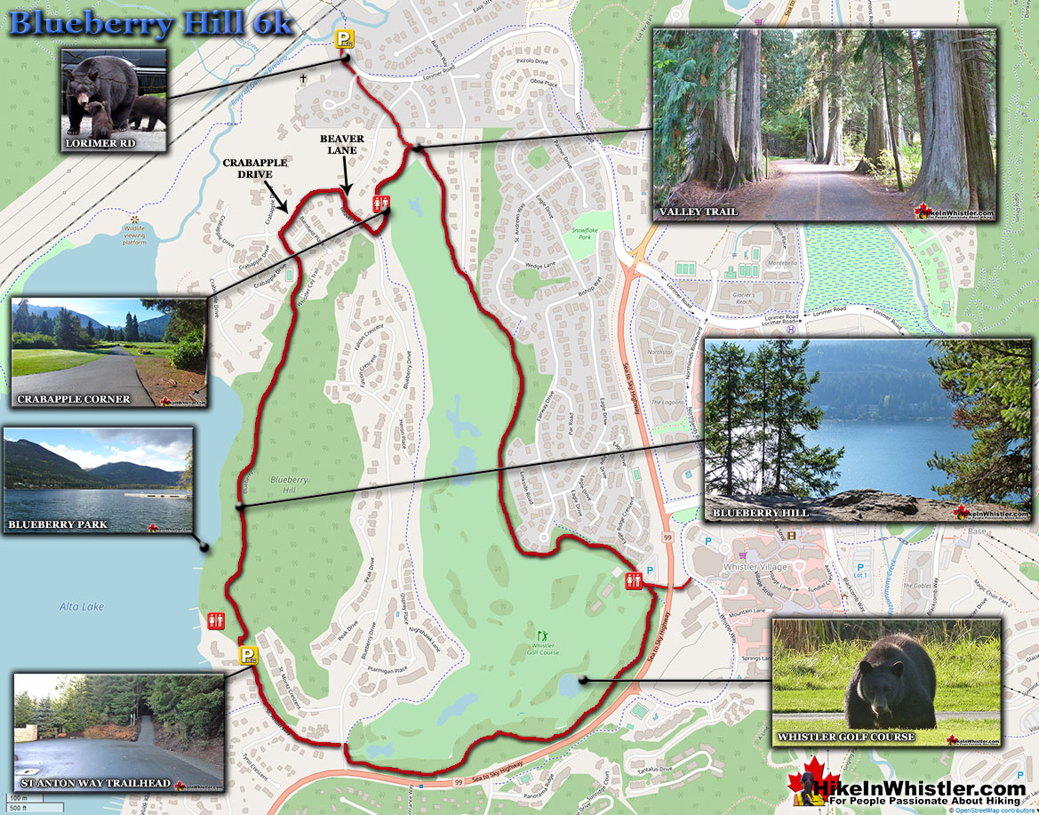 Blueberry Hill Whistler Running Map