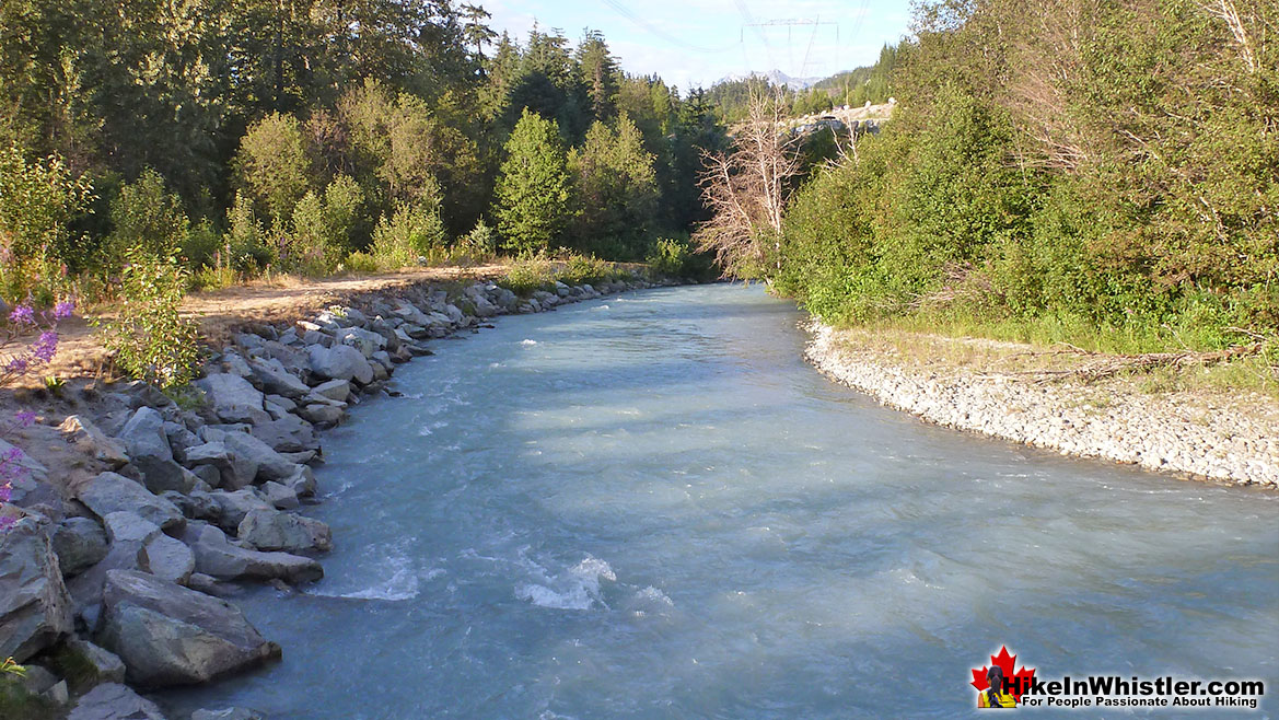 Fitzsimmons Creek 9k Run in Whistler