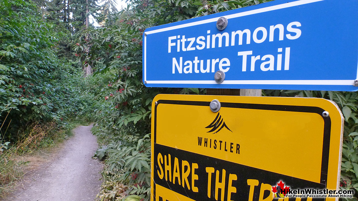 Fitzsimmons 9k Run in Whistler