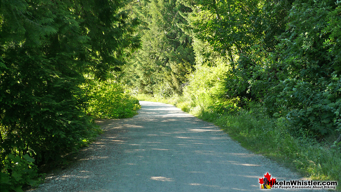 Lost Lake Trail Run in Whistler
