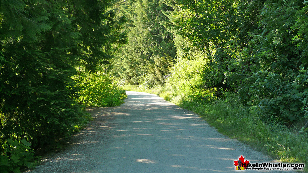 Lost Lake Trail Run in Whistler