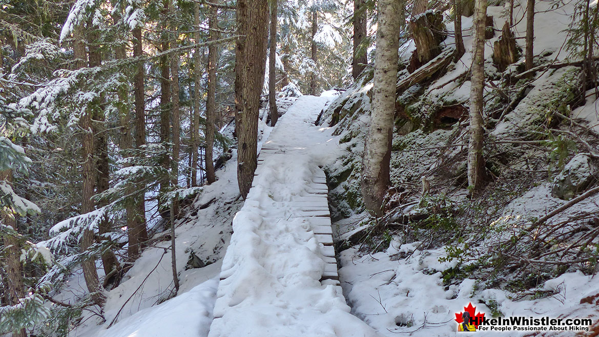 Sproatt East Trail Snowshoeing