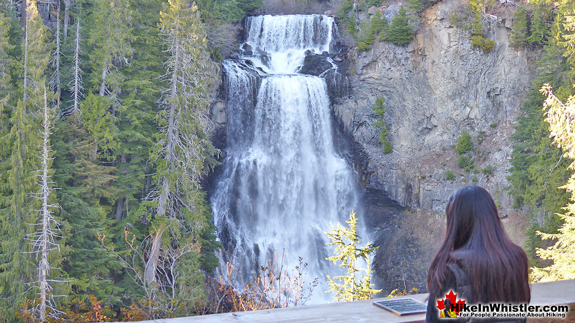 Alexander Falls Hike in Whistler November