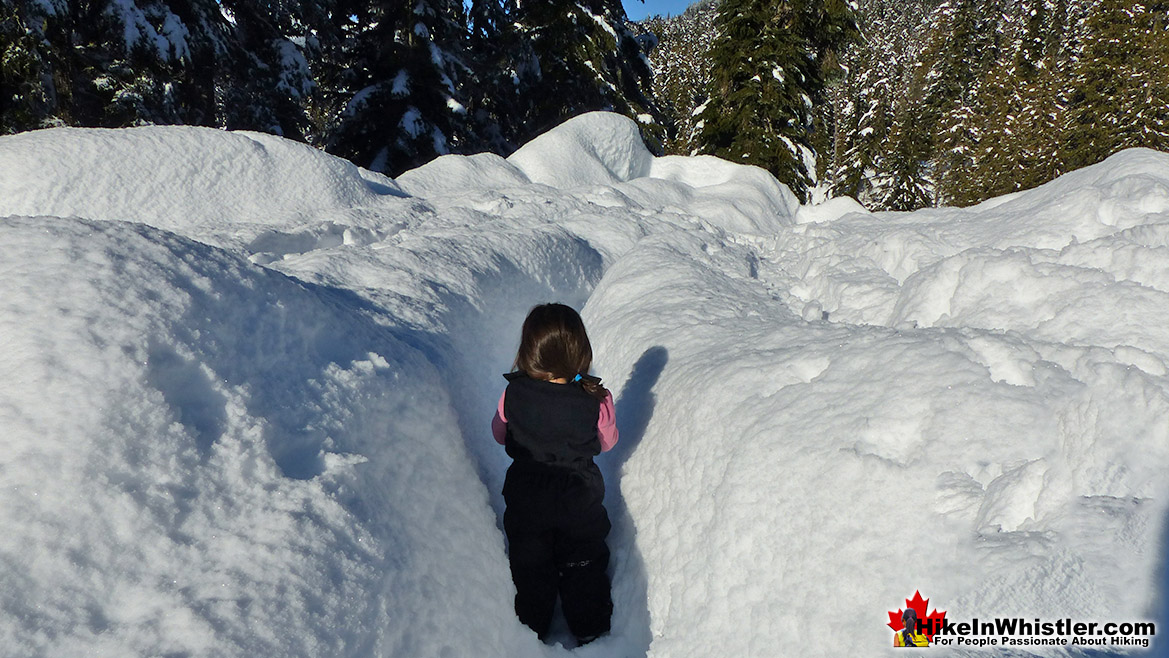 Alexander Falls Deep Snow