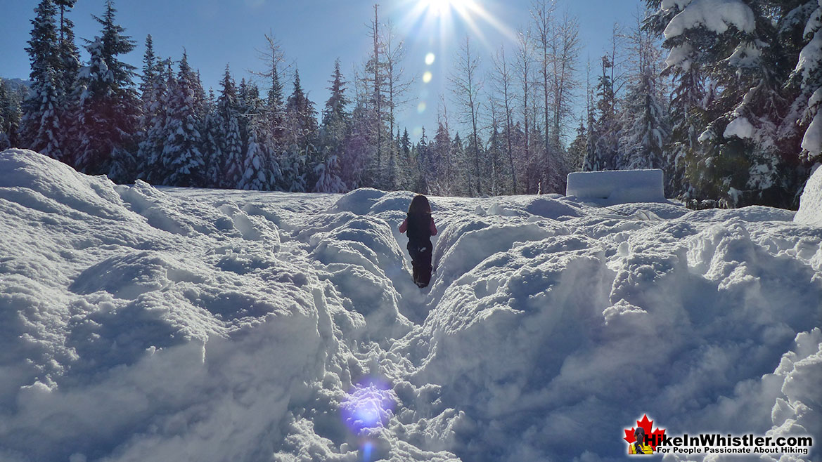 Alexander Falls Winter Sun