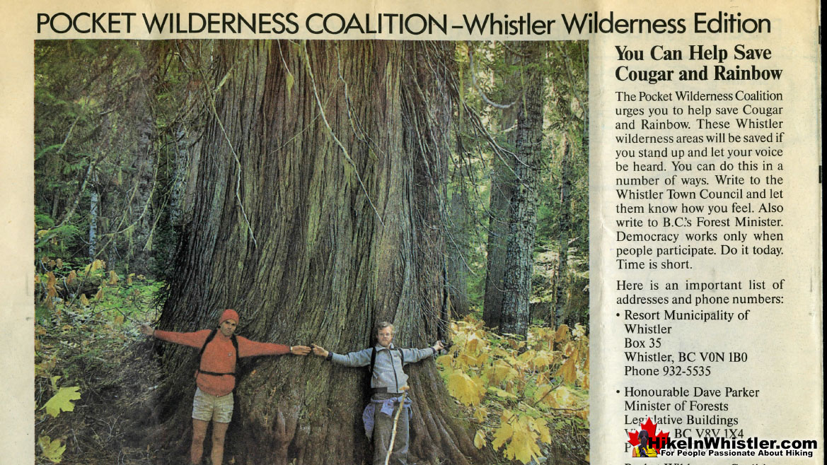 Ancient Cedars History Article