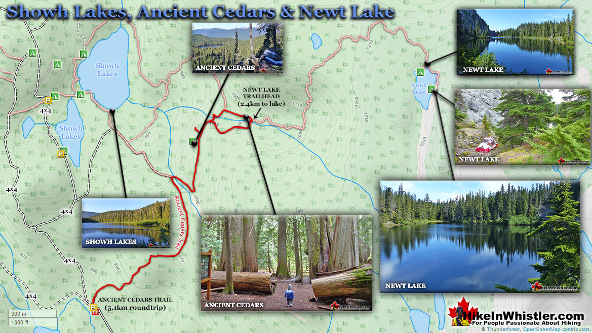 Ancient Cedars, Showh and Newt Lake Map v5