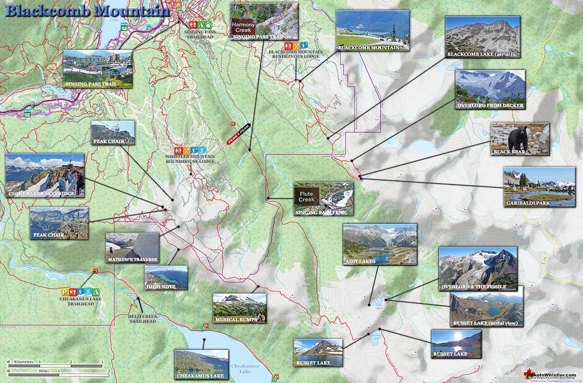 Blackcomb Large Map v19