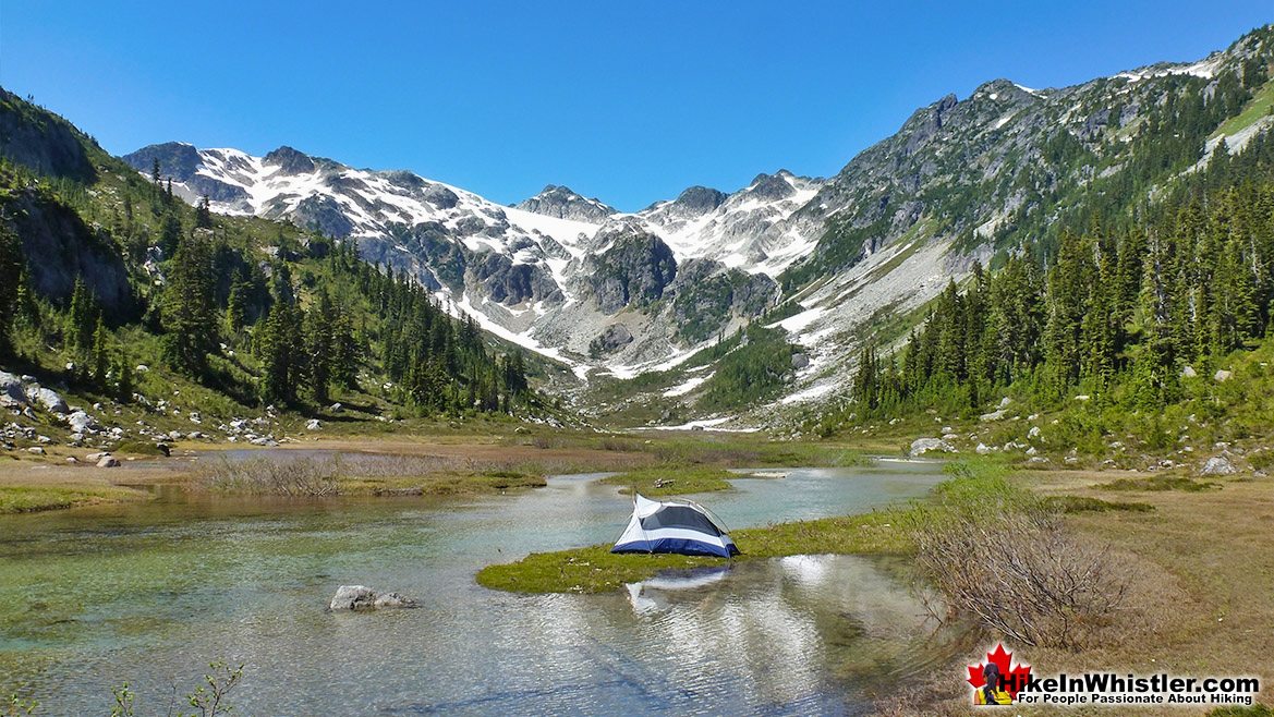 Brandywine Meadows Tent View