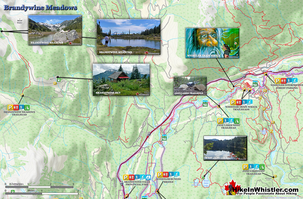 Brandywine Meadows Large Map v6