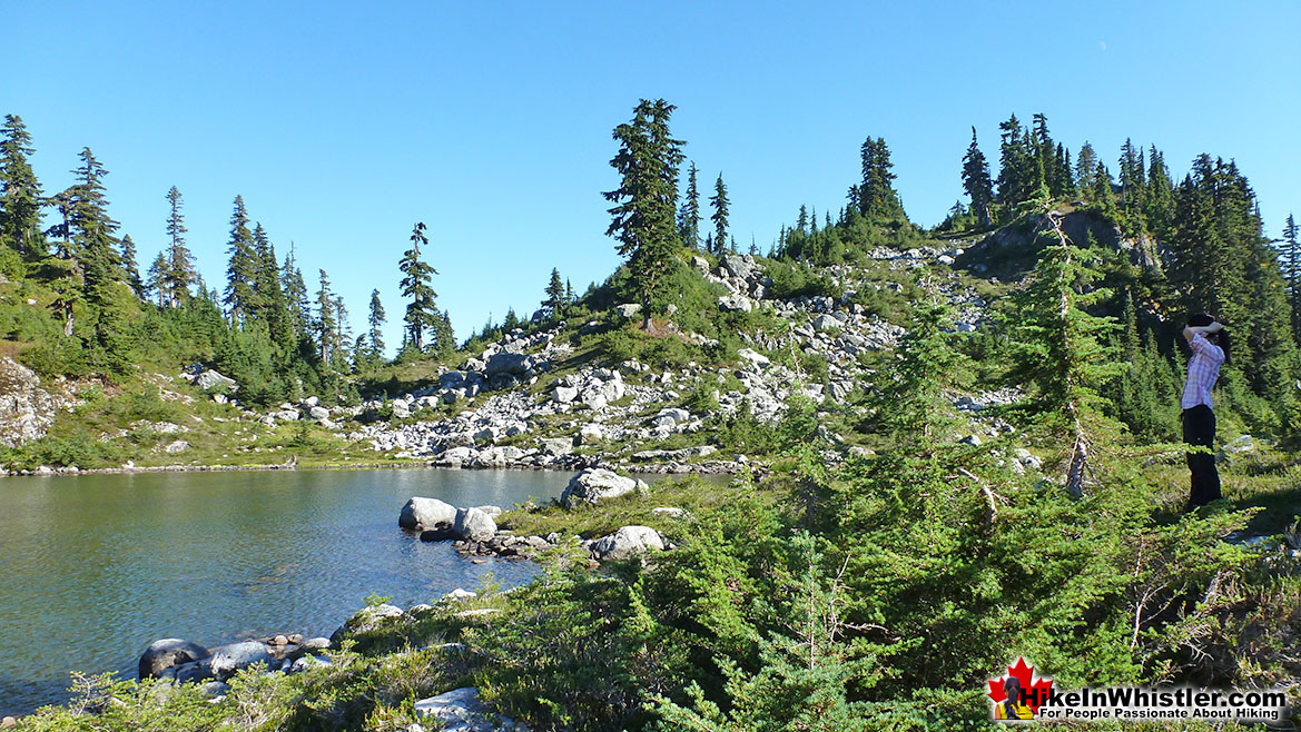 Beautiful Brew Lake