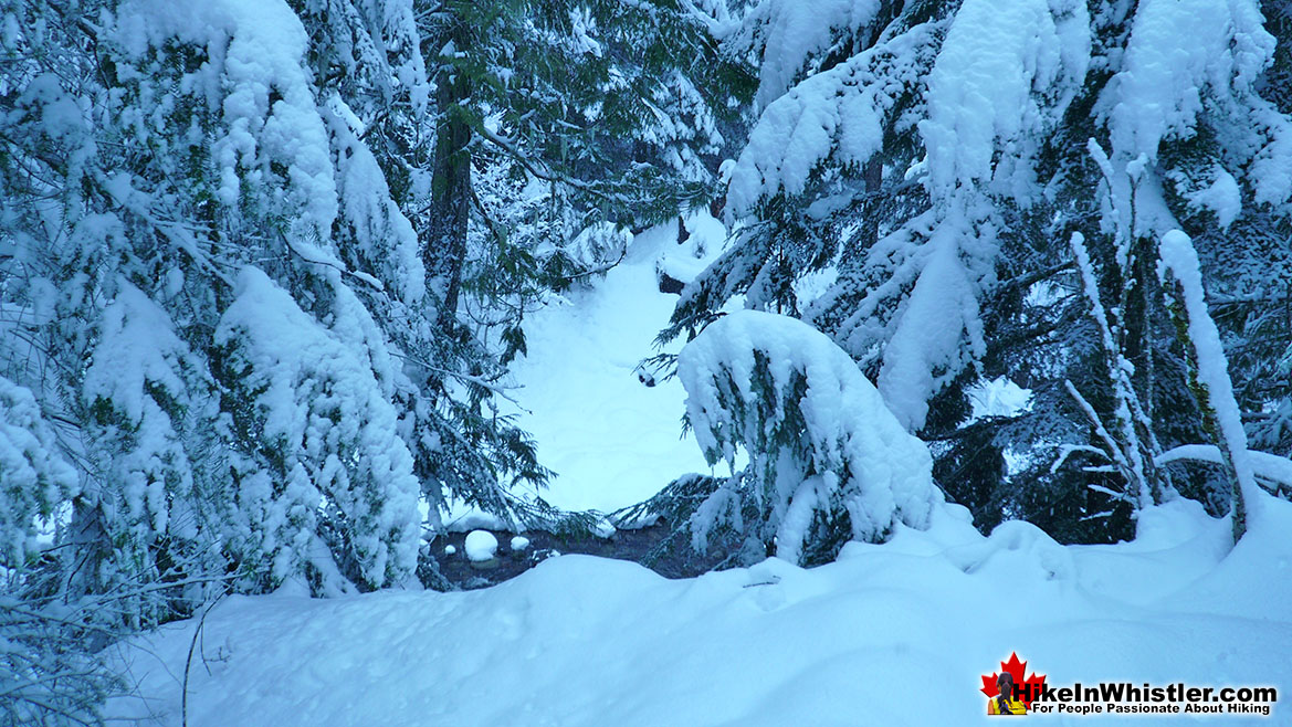 Cheakamus River Deep Snow