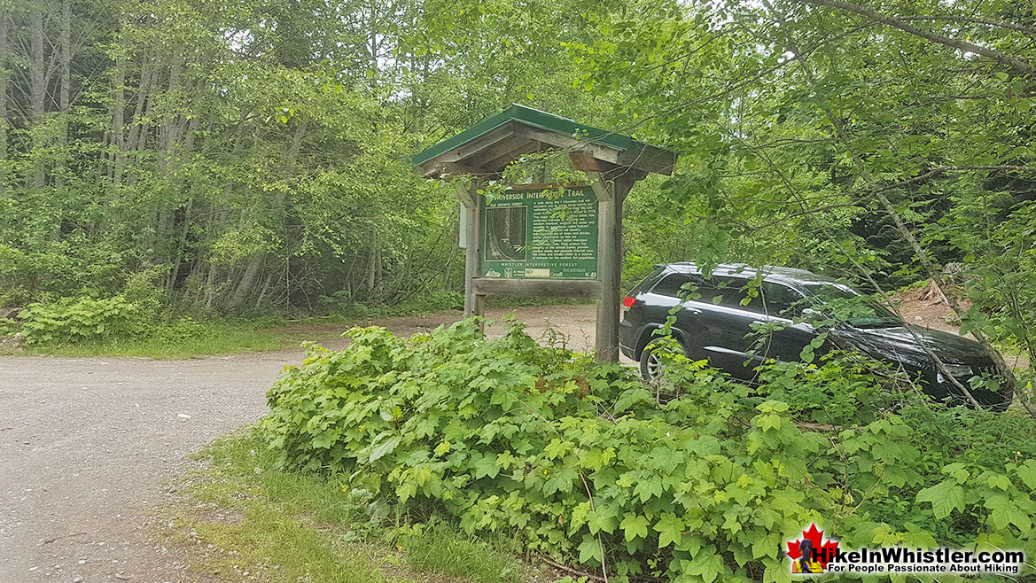 Cheakamus River and Logger's Lake Parking