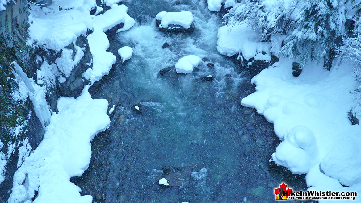 Cheakamus River Snowshoeing View