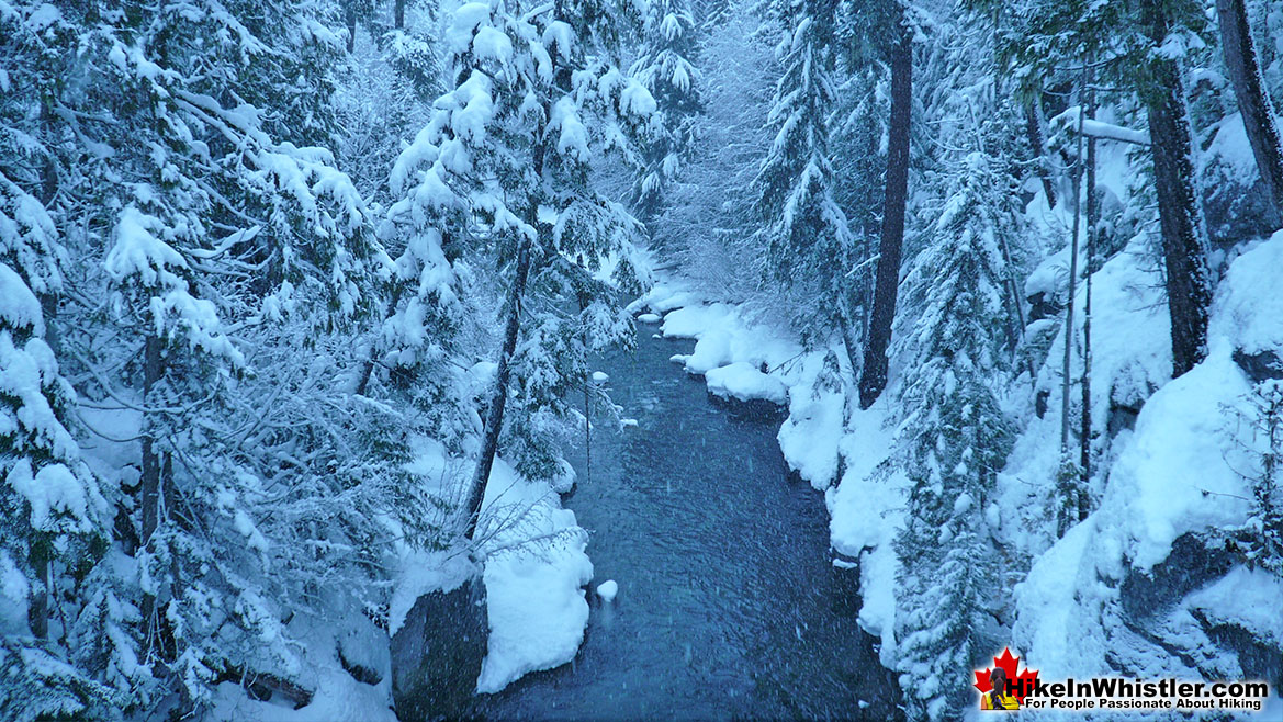 Cheakamus River Snowy Day