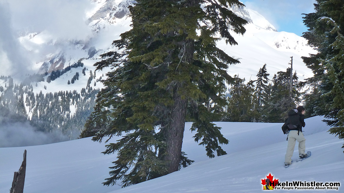 The Elfin Lakes Trail