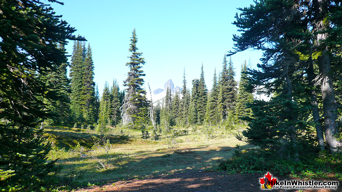 Helm Creek Campsite 7