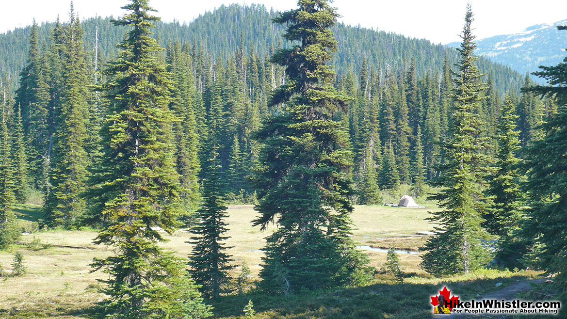 Helm Creek Campground from the Trail to Black Tusk