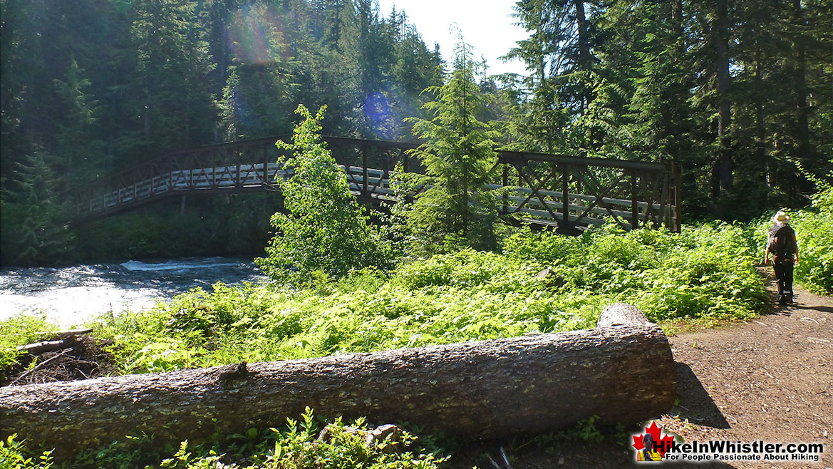 Helm Creek Trail Cheakamus River Crossing