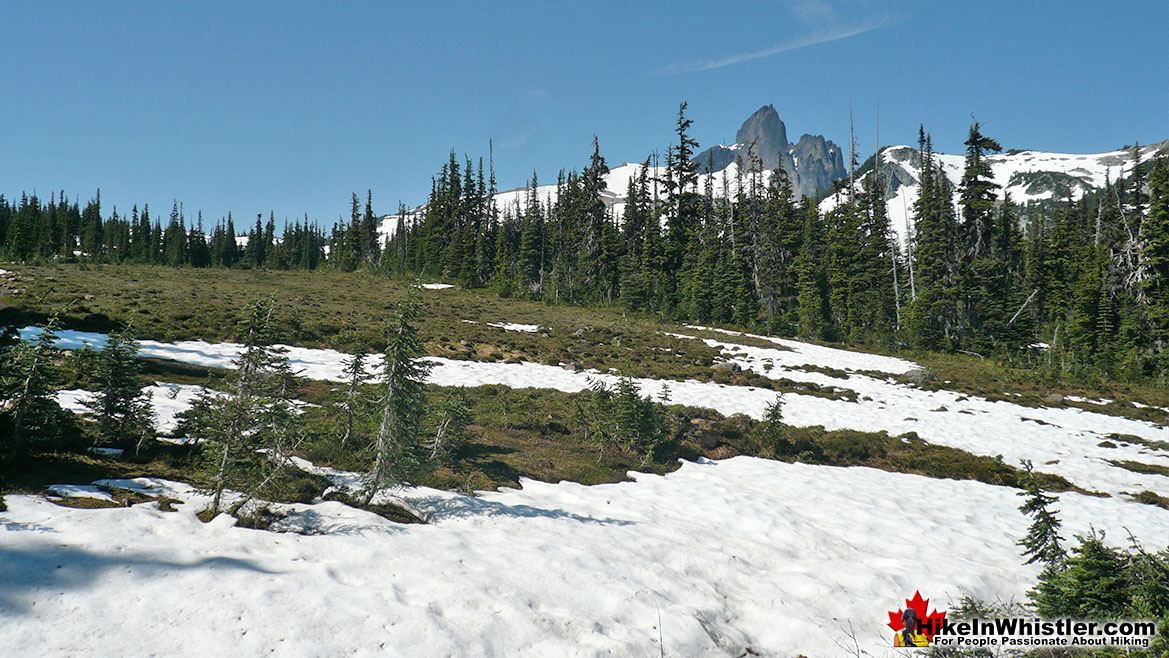 Helm Creek Trail to Black Tusk 3