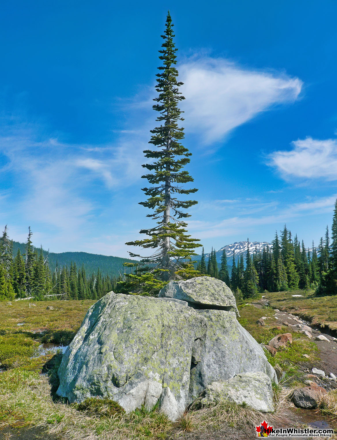 Helm Creek Erratic