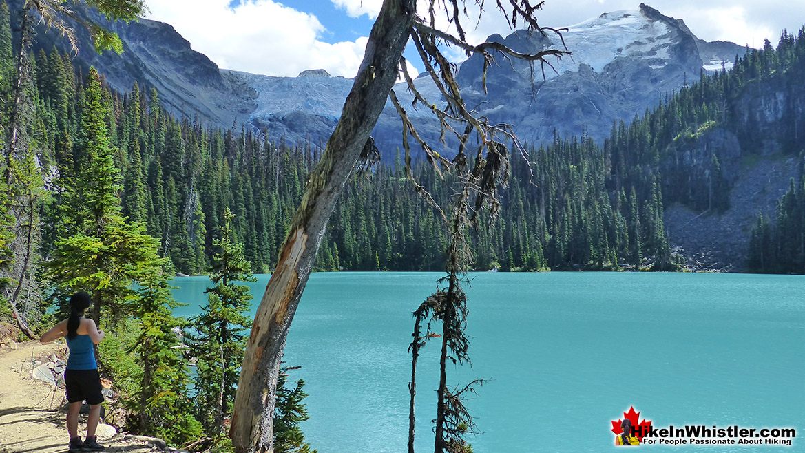 Joffre Lakes Trail View