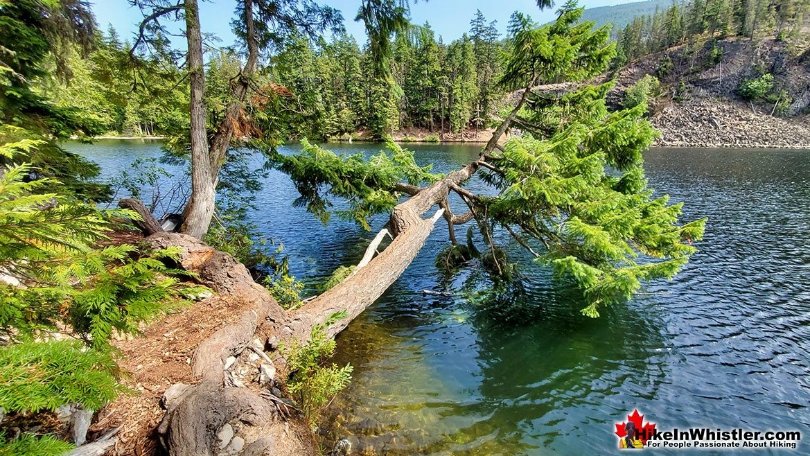 Amazing Shore Trail Around Logger's Lake