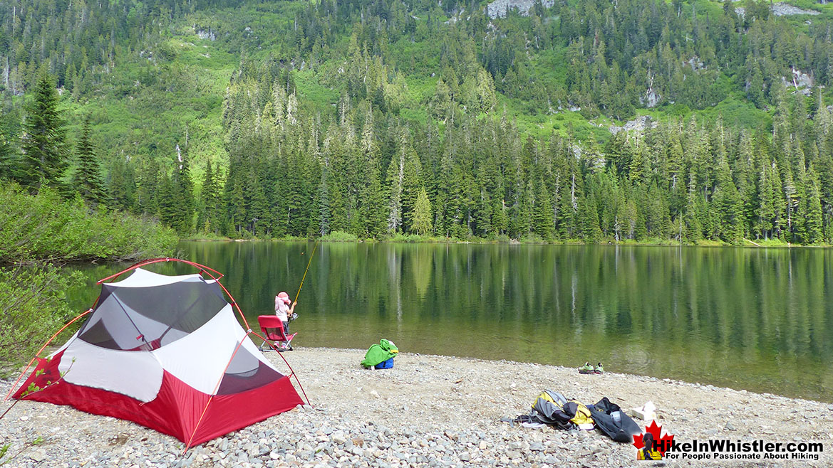 Madeley Lake Near Alexander Falls