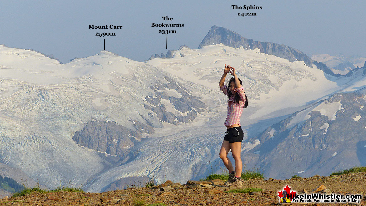 Sphinx Glacier from Panorama Ridge