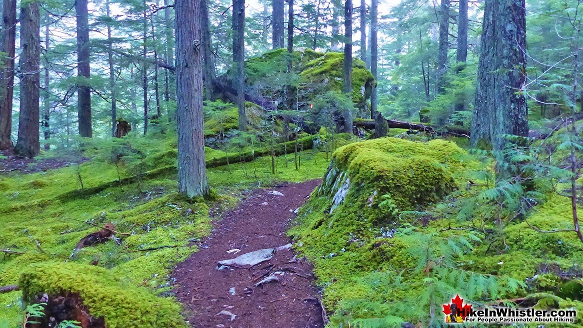 The Parkhurst Trail