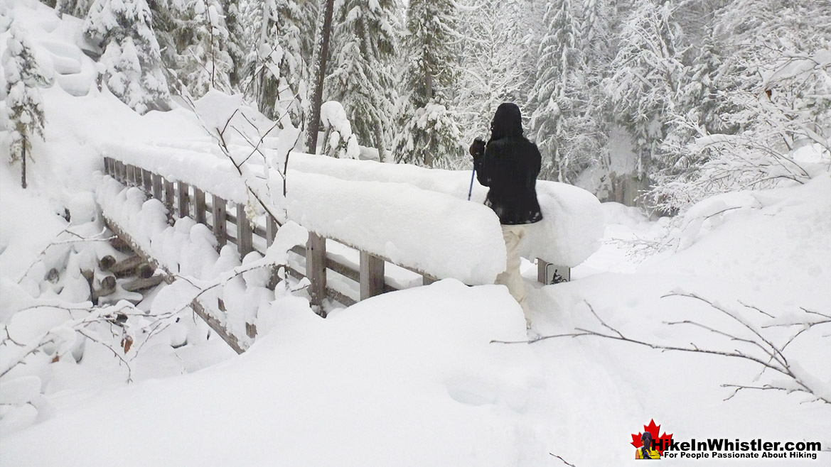 Rainbow Falls Winter Wonderland