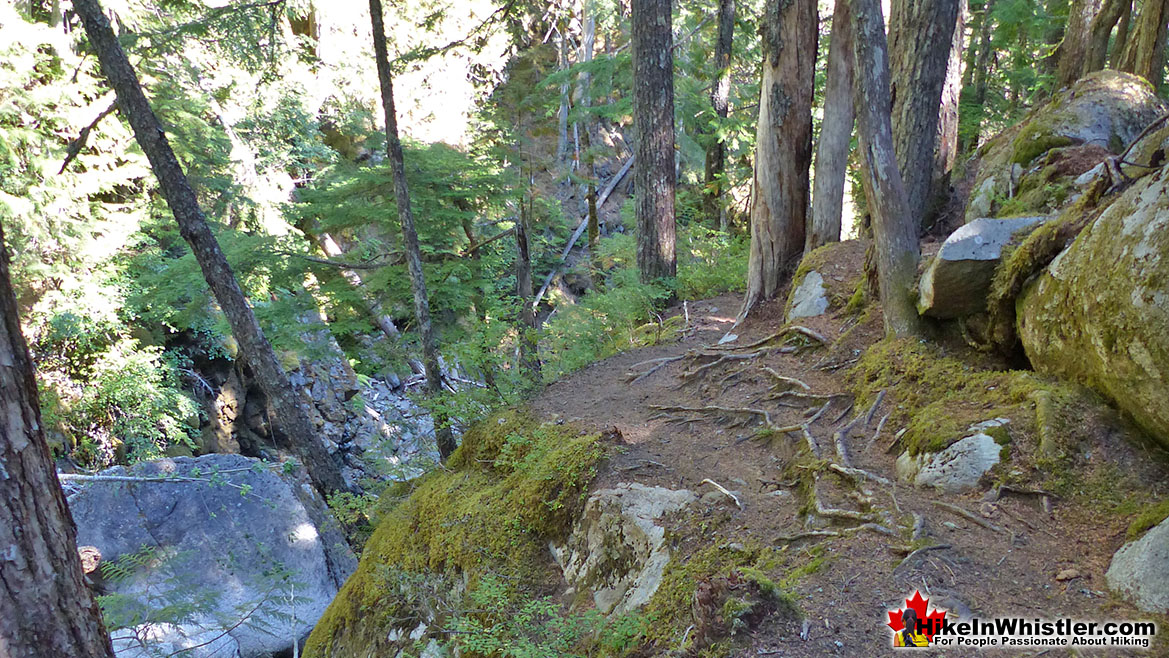 Steep Trail Down to 21 Mile Creek