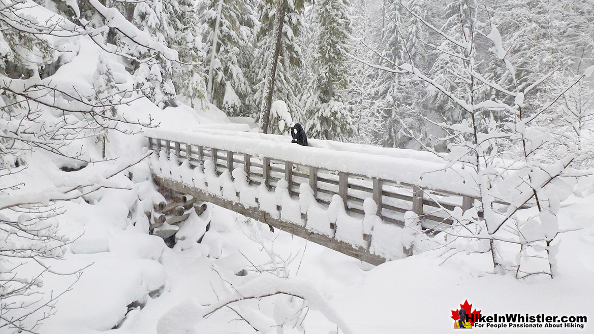 Flank Trail Bridge at Rainbow Falls